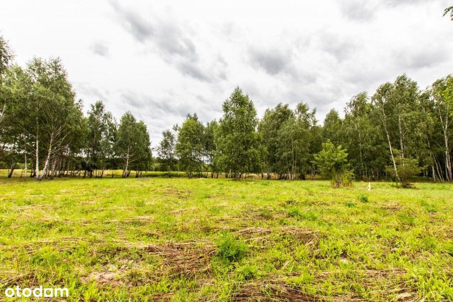 Działka budowlana nad jeziorem - Widok 3