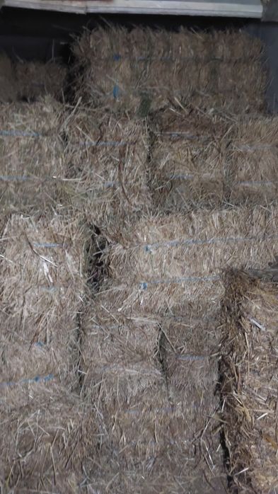 Vendo fardos pequenos feno nasçediço da colheita de 2025