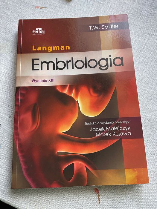 Embriologia Langman wydanie XIII