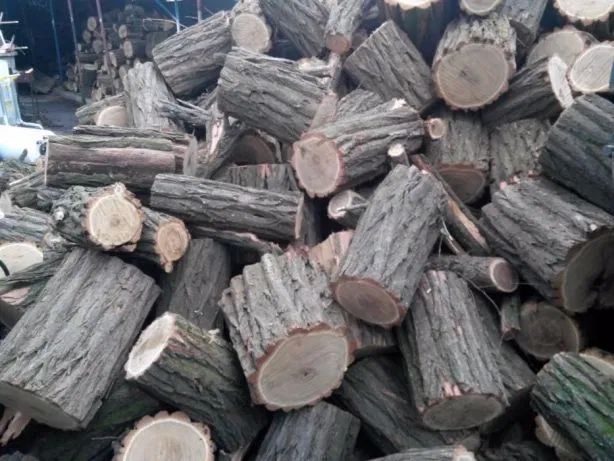 Дрова акация,дуб,ясень