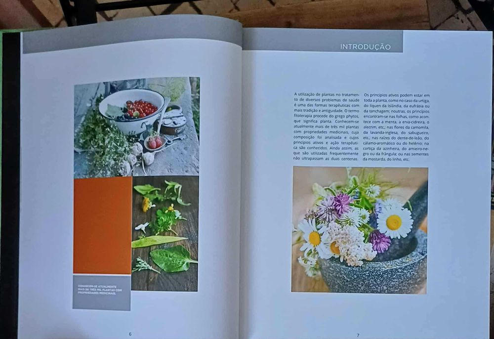 Grande Guia de Medicina naturalista