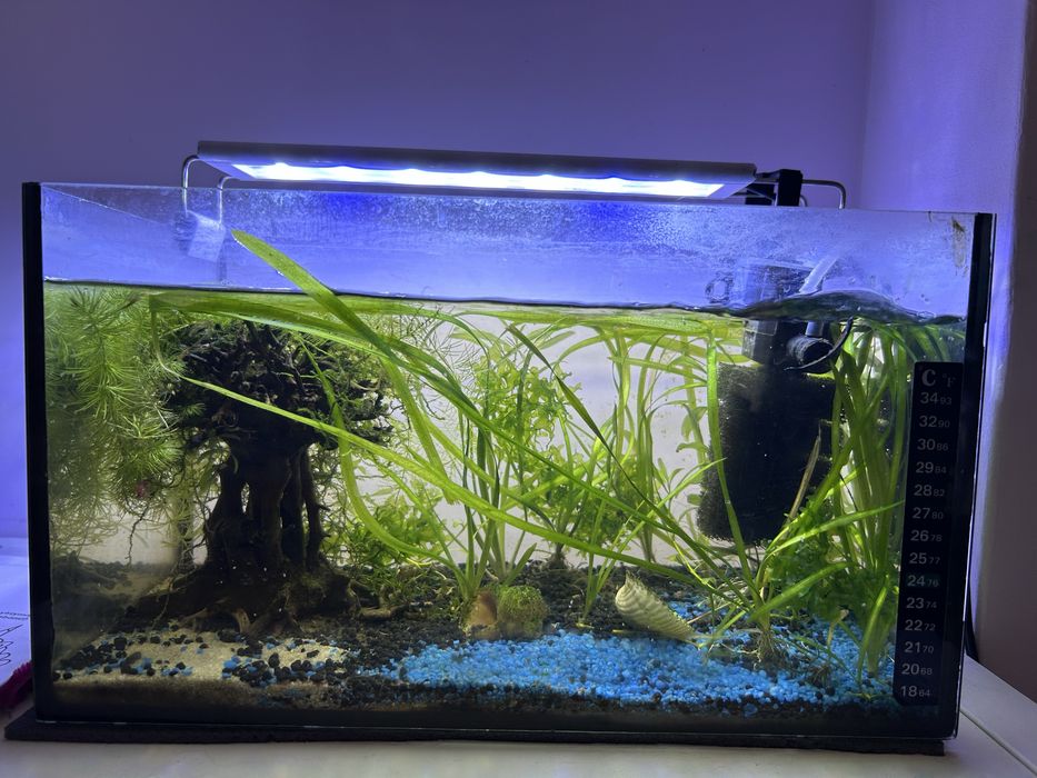 Akwarium/krewetkarium