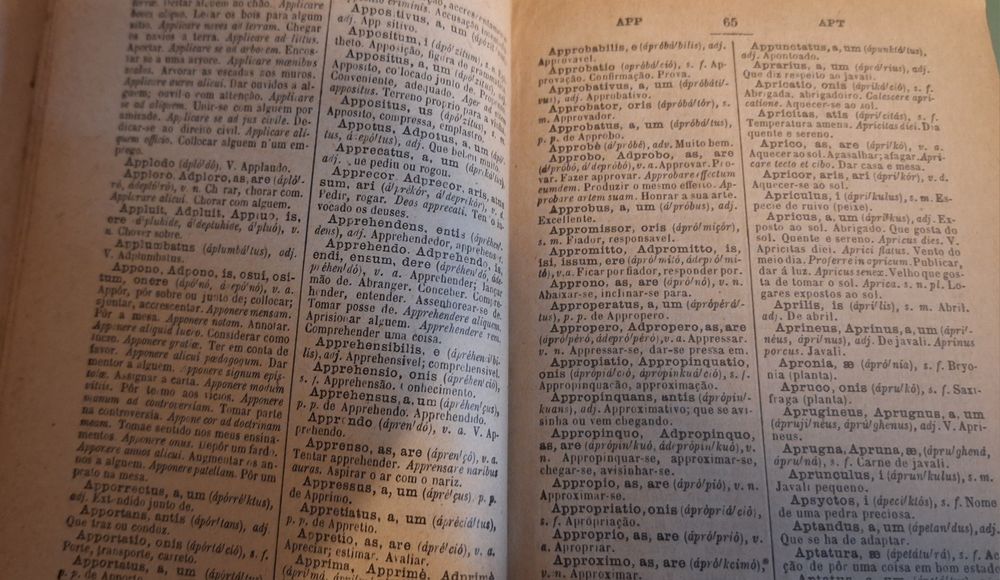 Dicionário latim português com mais de 100 anos