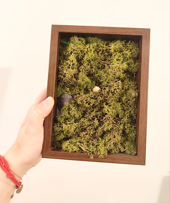 Ozdoba dekoracyjna ramka z mchem chrobotkiem głęboka