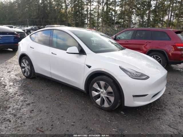 Tesla Model Y Standart Range Rear-Wheel Drive 2021 *