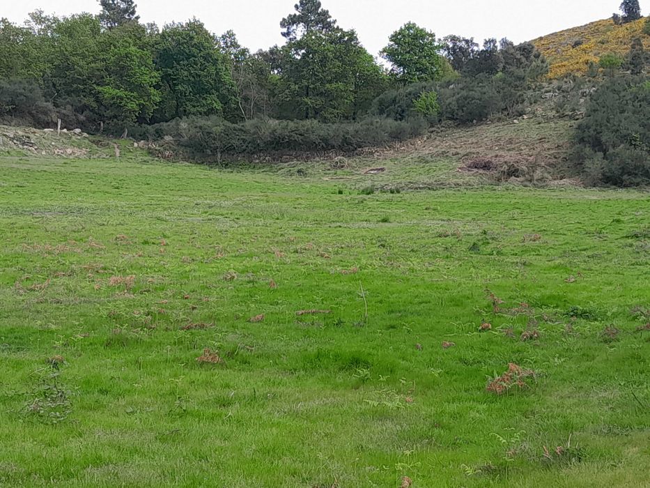 Quinta de 3 hectares em localização espectacular