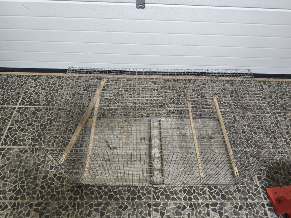 Gaiola em segunda mão