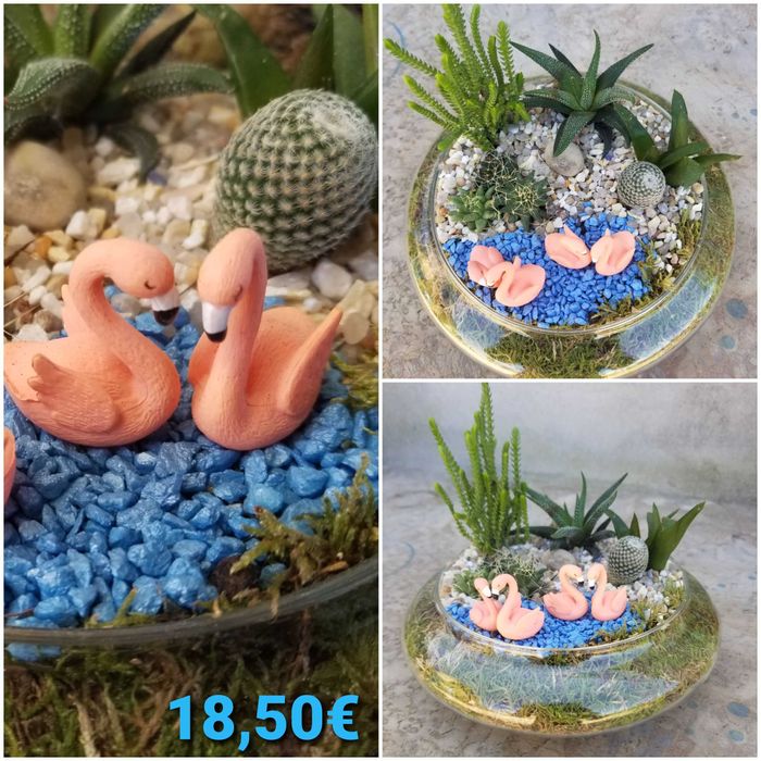 Arranjo de Suculentas