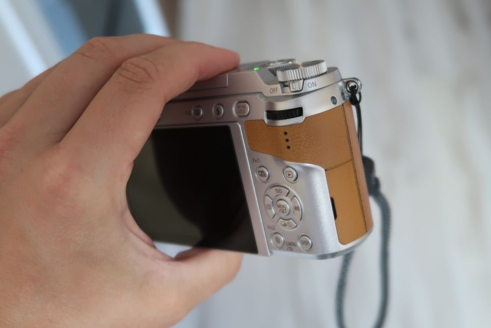 Panasonic Lumix GX80