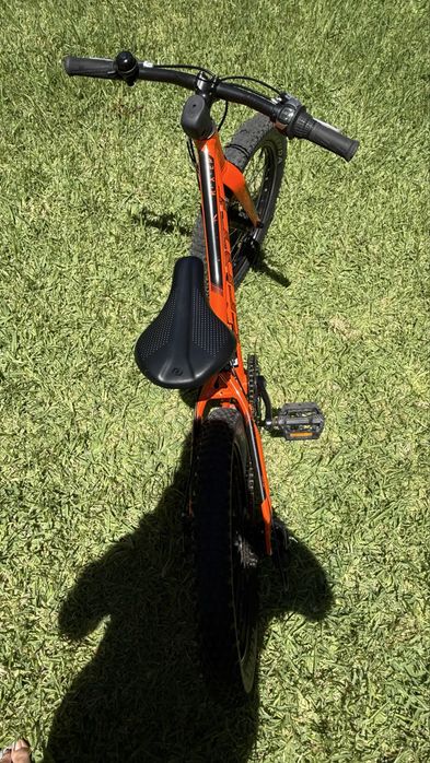 Scott Roxter 20”