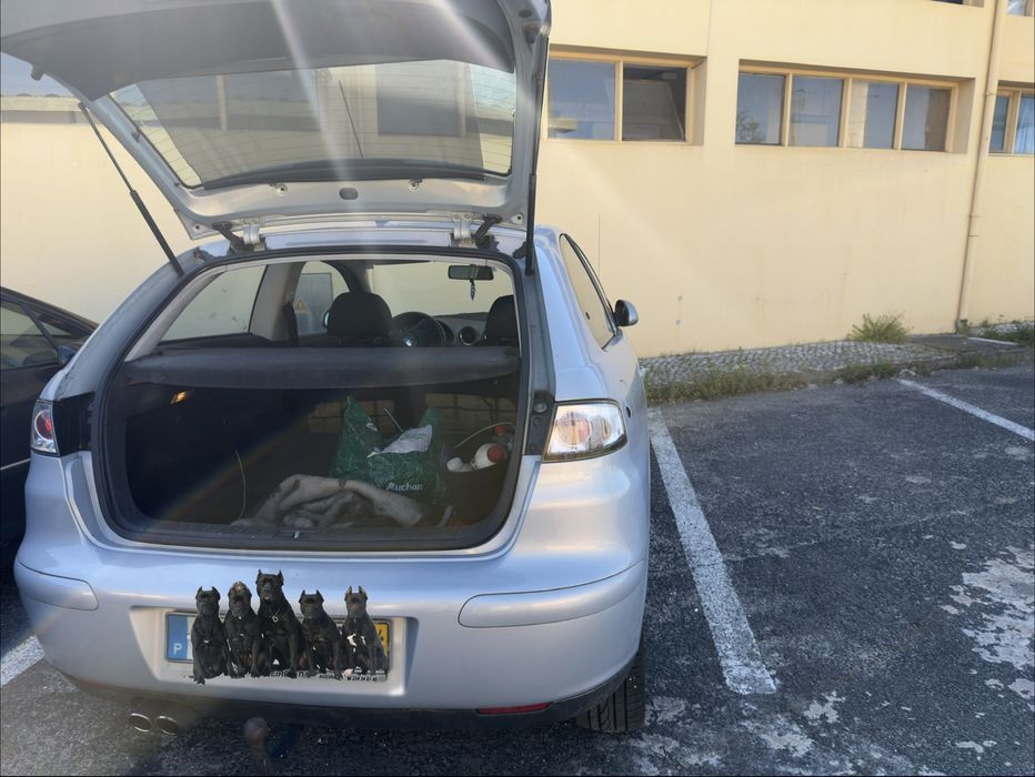 Seat Ibiza FR 1.9TDI 130cv
