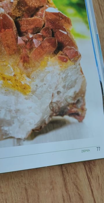 Książka Planeta Ziemia - Ekologia