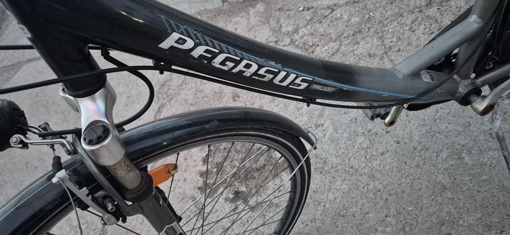 Rower Pegasus damka.