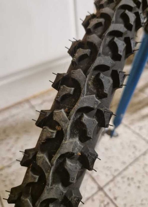 Rower damka New Panther Victus