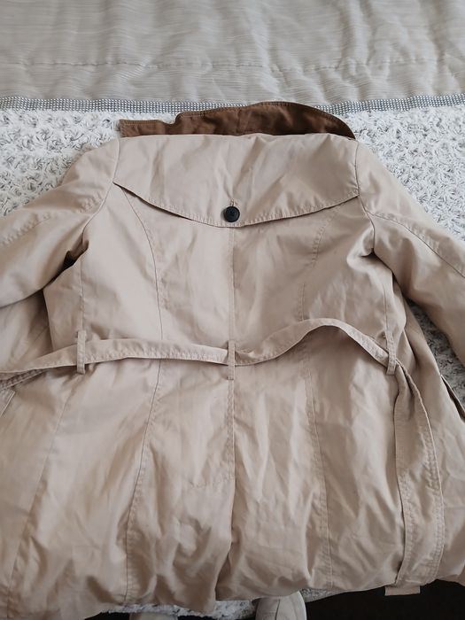 Gabardine stradivarius