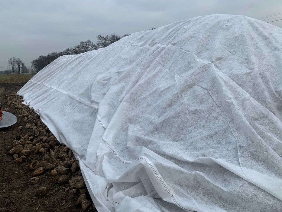 Agro włóknina na pryzmy buraki, cebule, marchew 110g/m2 12,65 x 25m