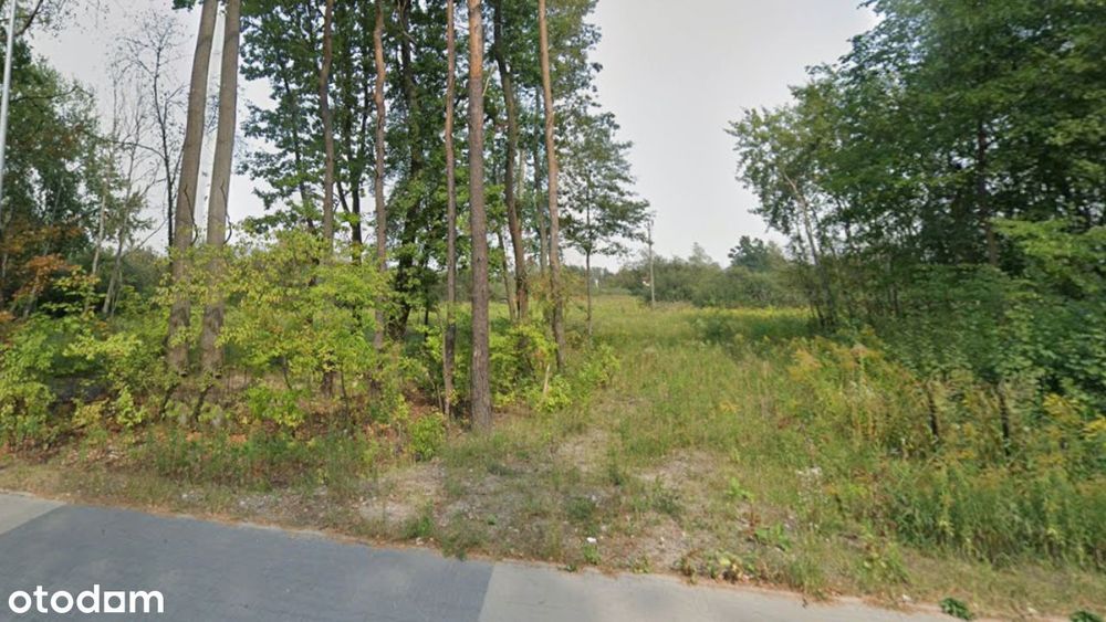 Działka budowlana inwestycyjna | 1 ha| MPZP | media | Wołomin |Zielona