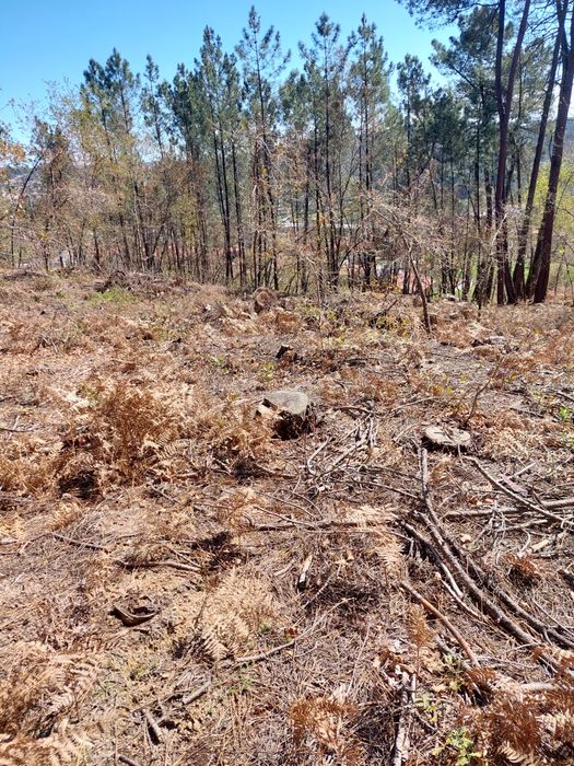 Vendo terreno Urbanizável