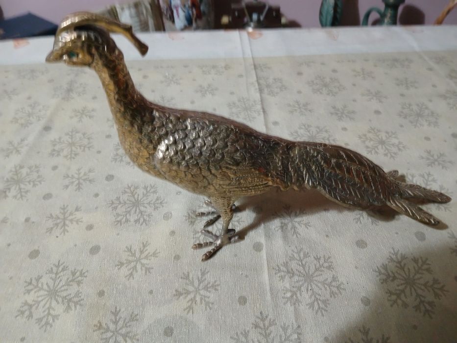 Vendo um conjunto  de faisões