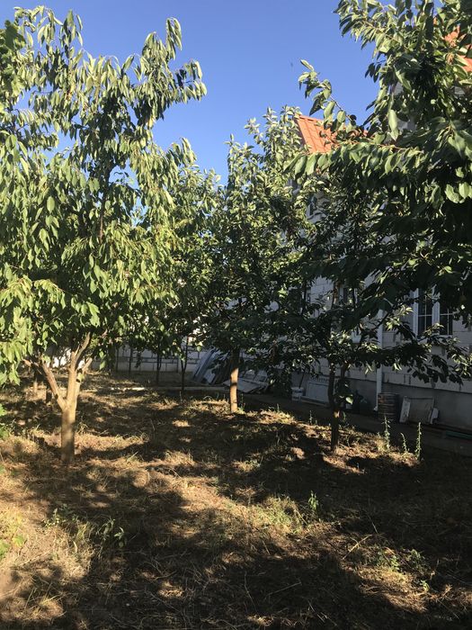 House by the address (area 248 m²) - Atlanta.ua - photo 5