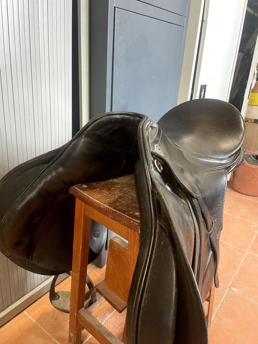 Sela Mixta Kieffer Cavalo