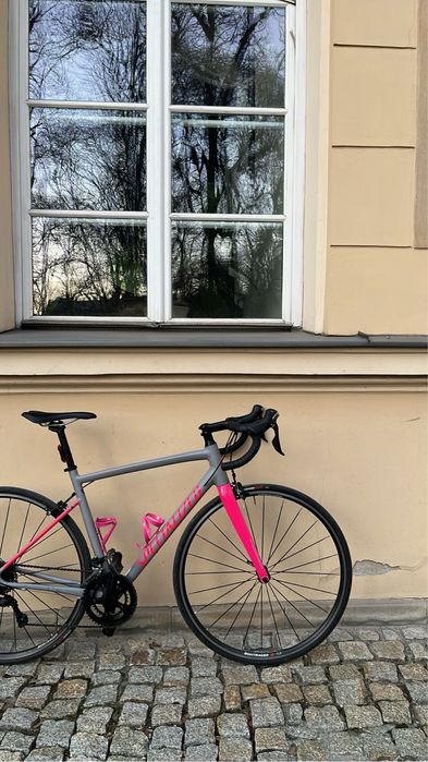 Rower Szosowy Specjalised Allez Sport