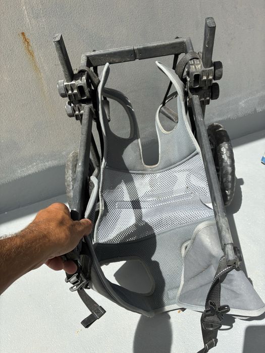 Carro rodas para caes