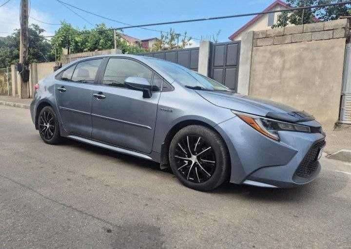 Toyota Corolla 2019
