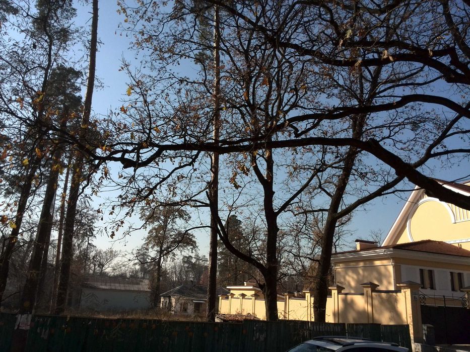 Пуща-Водиця, вул Юнкерова 40 сот або 2 ділянки по 20 сот