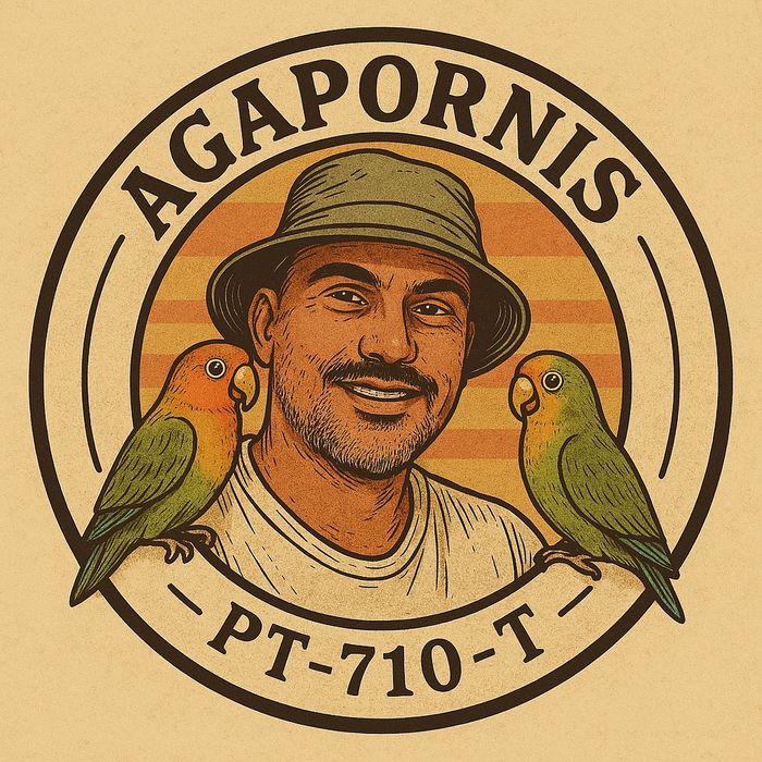 4 Ninhos Agapornis novos