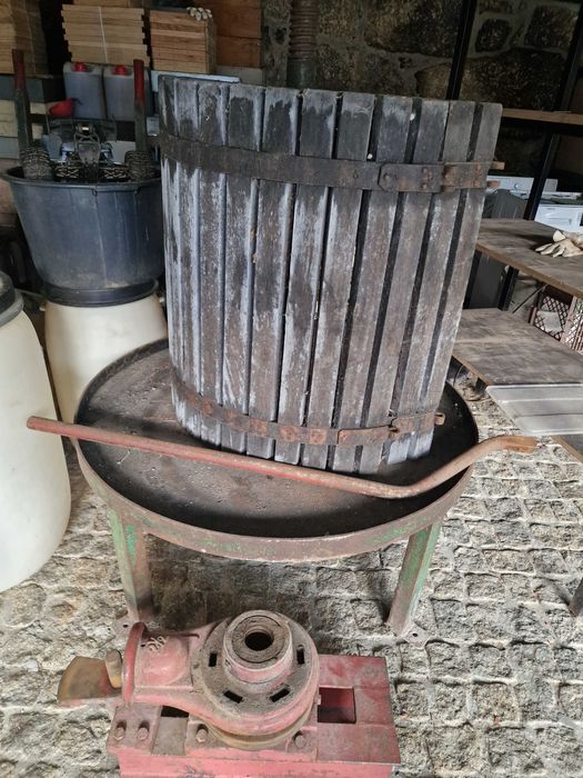 Prensa e Relador de uvas com motor