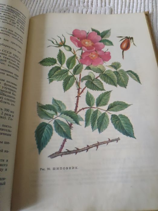 Книга Лікування рослинами 1972 рік