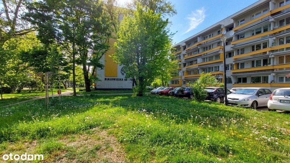 Białowieska, niska zabudowa, balkon, rozkład
