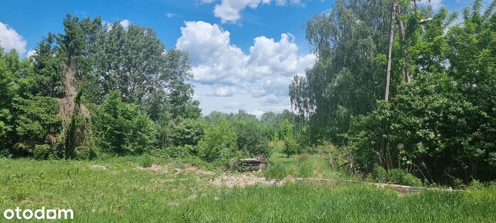 Atrakcyjna działka 1301 m² przy ul. Sielanki – Stary Wilanów - Widok 3