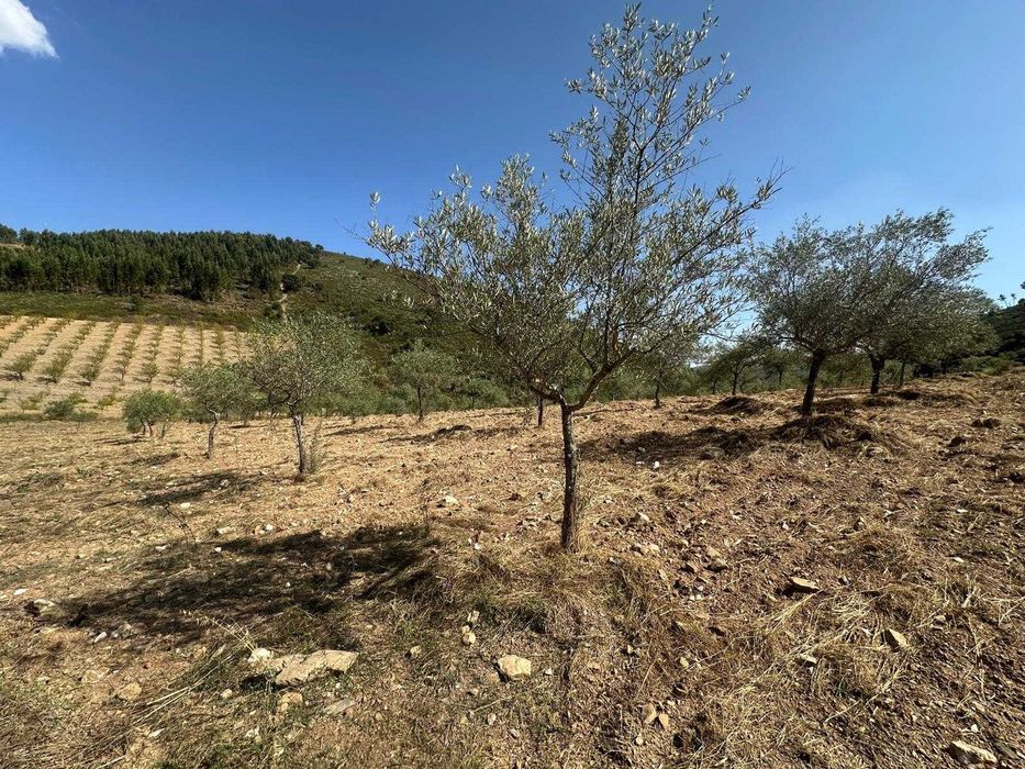 Terreno agrícola - 8,42 hectares