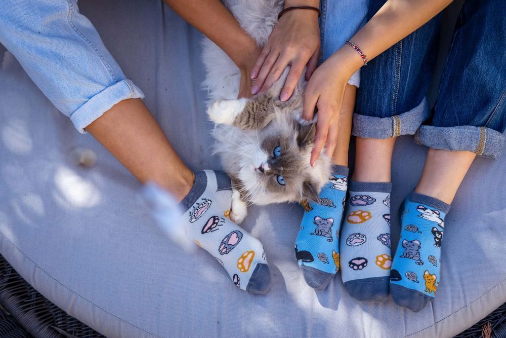 Wesołe stopki - Koty 44-46