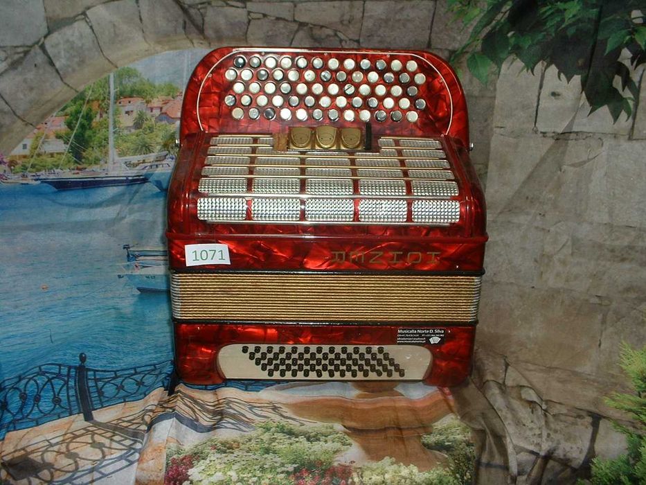 Acordeão Avenda R 1071