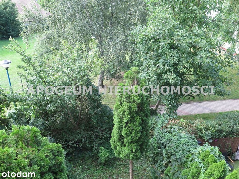 3 odrębne pokoje z widokiem na zieleń
