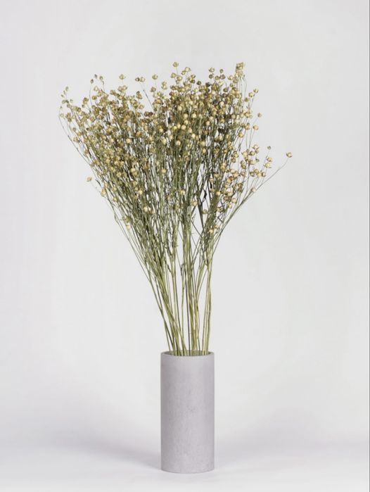 Льон натуральний