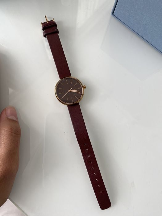 Наручные часы Skagen