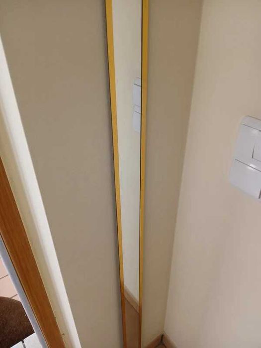 Espelho Comprido Antigo Mirror 145x7cm Moldura Dourada Vintage