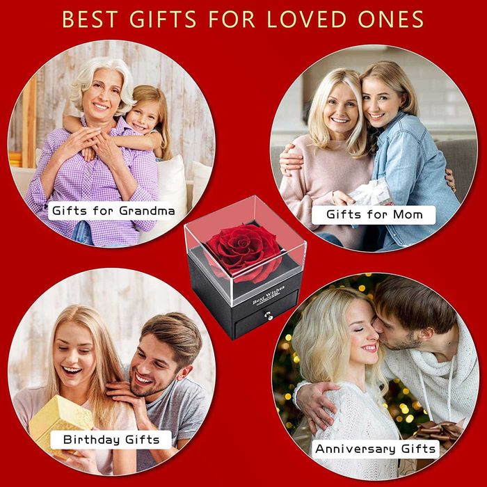 Colar de presente, flor rosa real encantada