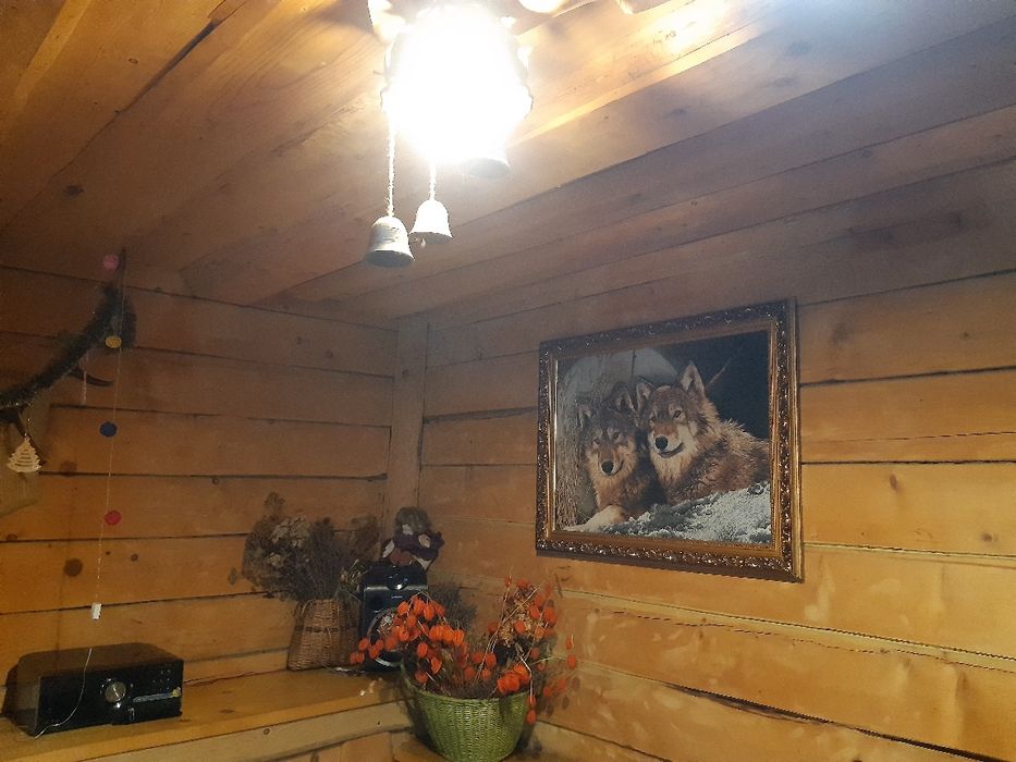 Котедж "Роман'S"