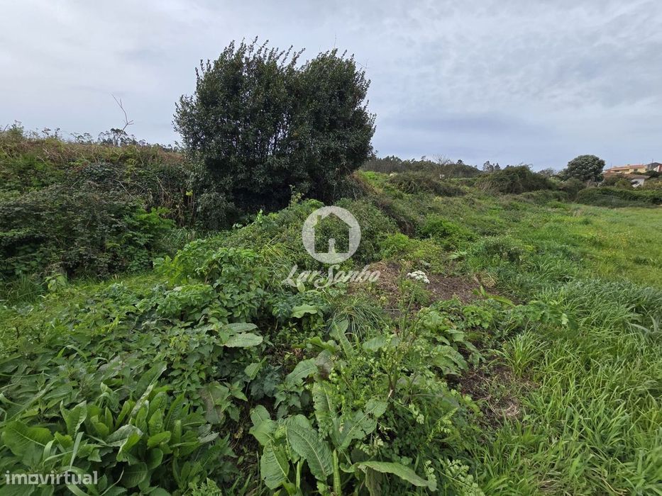 Terreno Agrícola  Terroso | 2.722m²