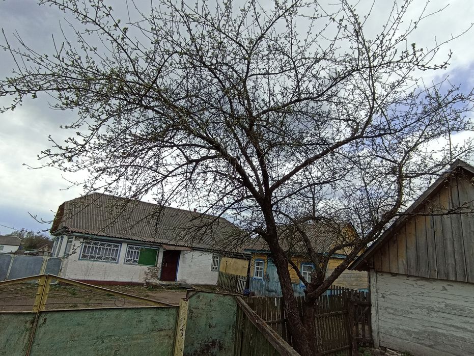 Продам будинок смт Чоповичі Коростенський район