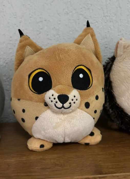 Peluches bando do bosque