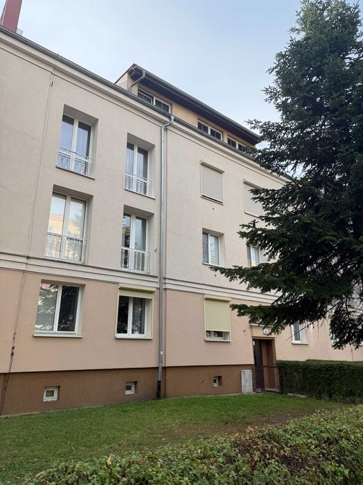 Zdjęcie 8