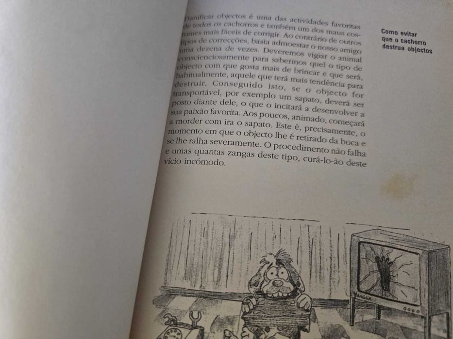 Guia Prático para Educar e Cuidar melhor do seu Cão