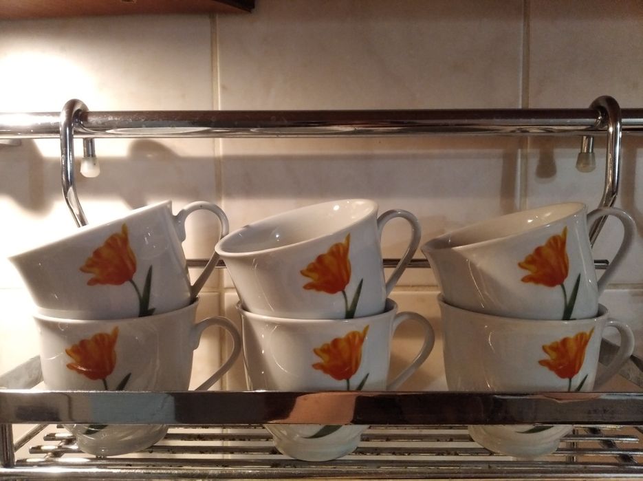 6 чашек с тюльпанами