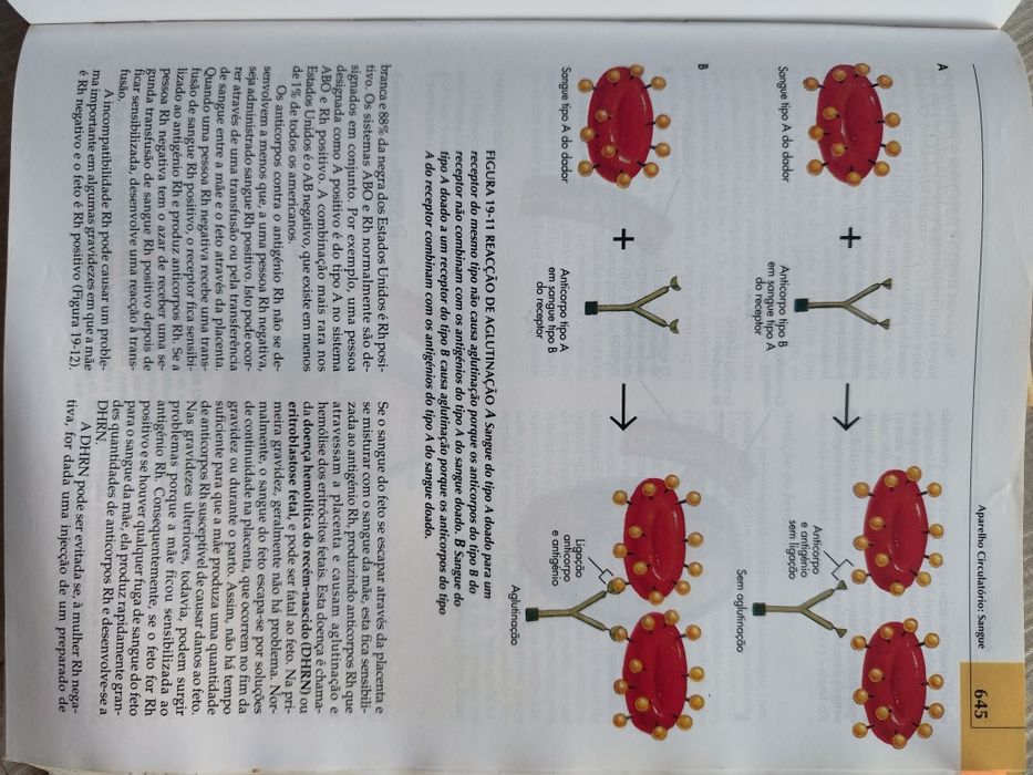 Livro de Anatomia e Fisiologia , Terceira edição